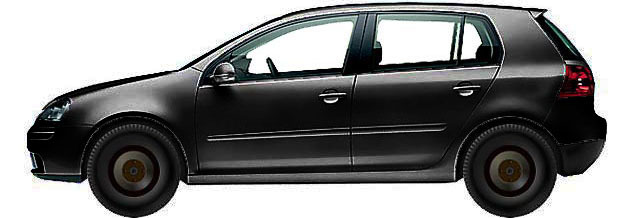 Volkswagen Golf V 1K1 Hatchback 5d (2003-2009) 1.9 TDI 4MOTION
